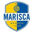 特里尔B队